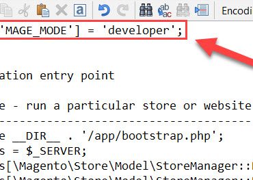 change developer mode in index.php
