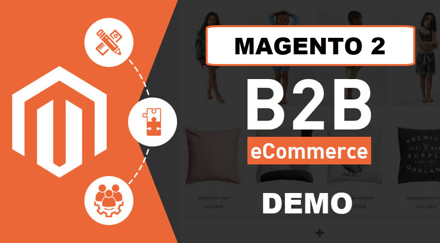 magento 2 b2b demo