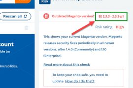 check magento 2 version on your store